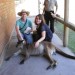 Ballarat Wildlife Park