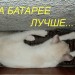 �� �������...