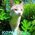 �������...