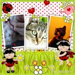 ������ 3