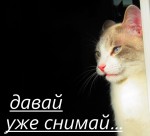 ������...