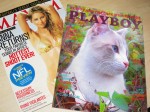 playboy