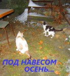 ��� �������...