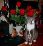 ������� ��������