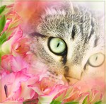 �������������� 2...