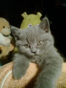 ����������!